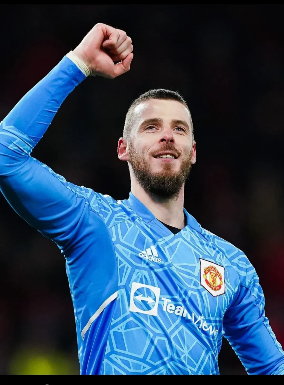 九游娱乐入口-包含曼联门将德赫亚：保持专注，力争零封对手的词条