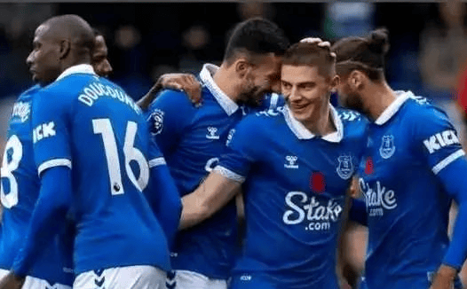 九游娱乐入口-埃弗顿客场落败，英超战绩蓝筹意味浓厚的简单介绍