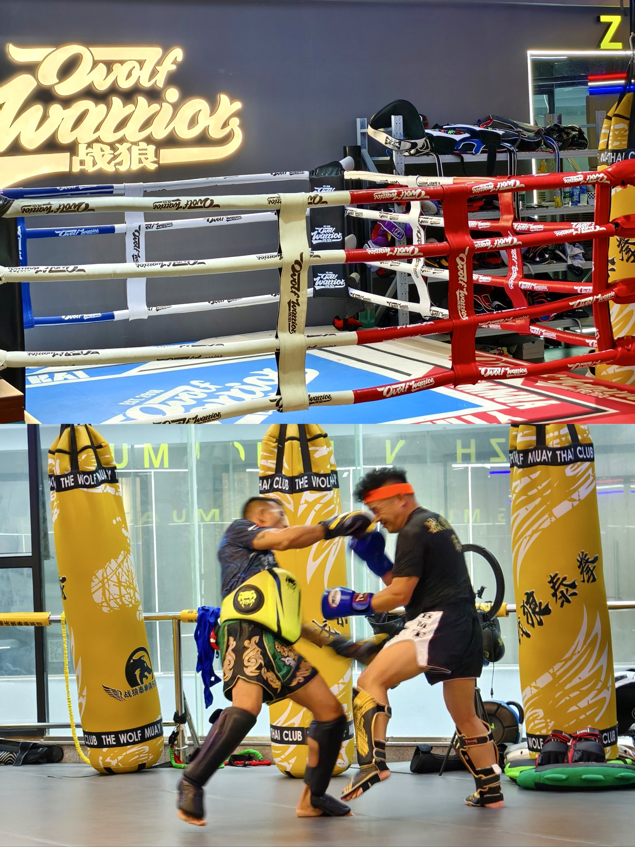 9you娱乐-泰国拳击选手实力强劲！令人震撼