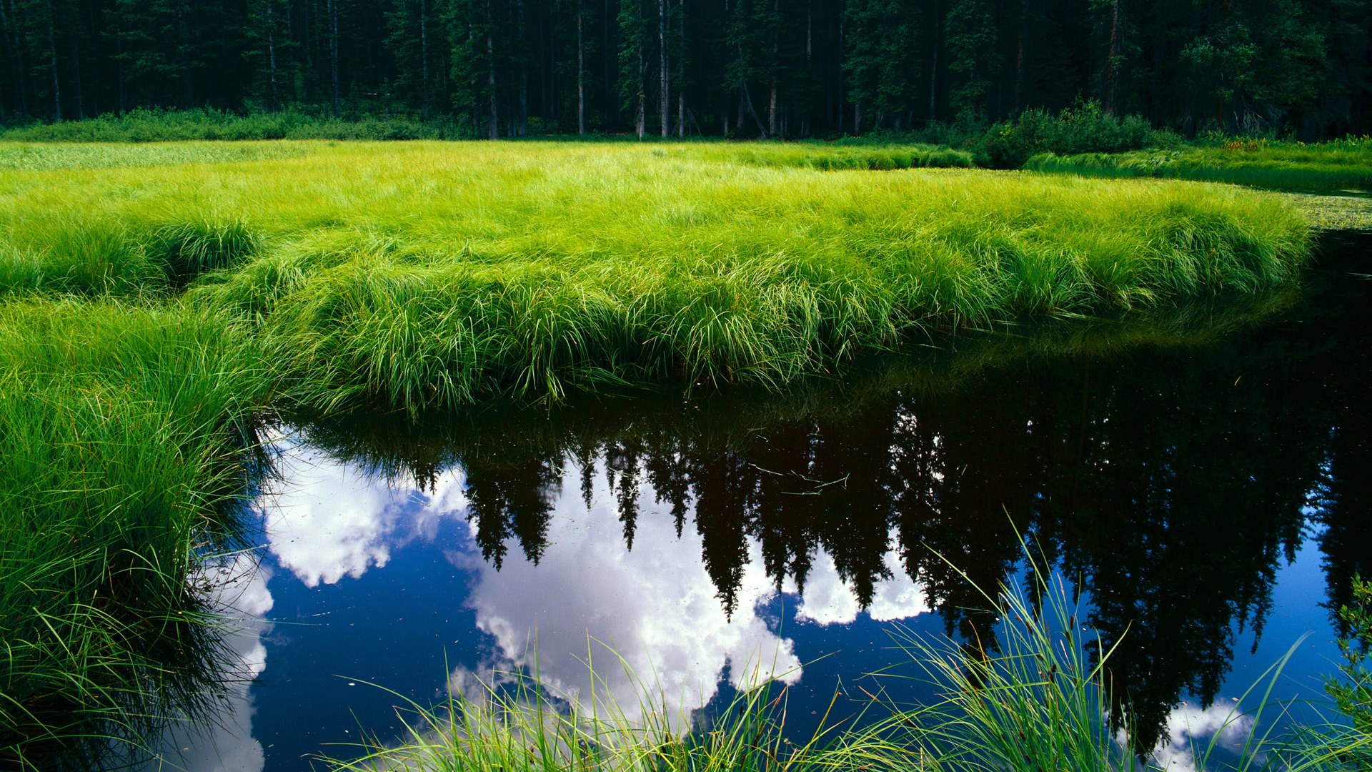 九游中国-塔图姆狂轰40+引爆五棵松，奇才团队风暴全面压制北京队