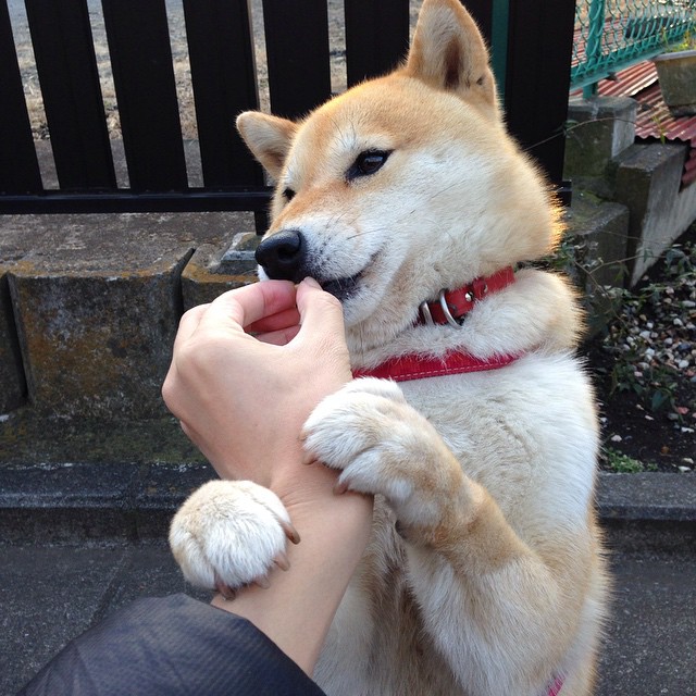 九游官网-红牛之翼，末节风暴，拉亚在2026世界杯接管比赛的新秩序