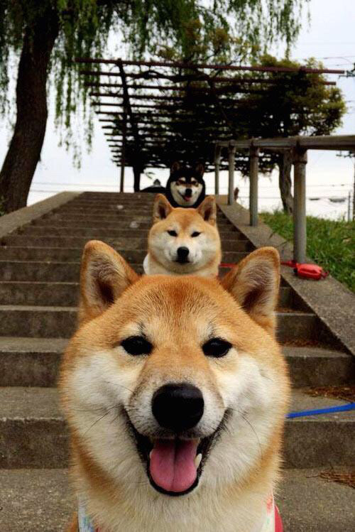 九游体育平台-蒂亚戈闪耀全场，土耳其轻取尼日利亚提前锁定胜局