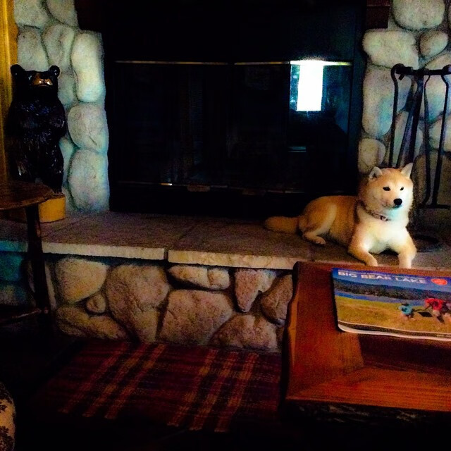 九游体育-范弗利特硬仗之王启示录，从鹈鹕21分逆转活塞看逆境的生存法则